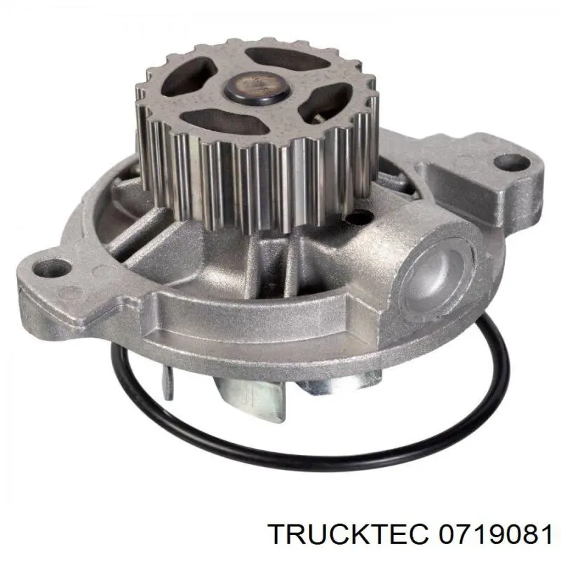 Водяной насос Trucktec 0719081