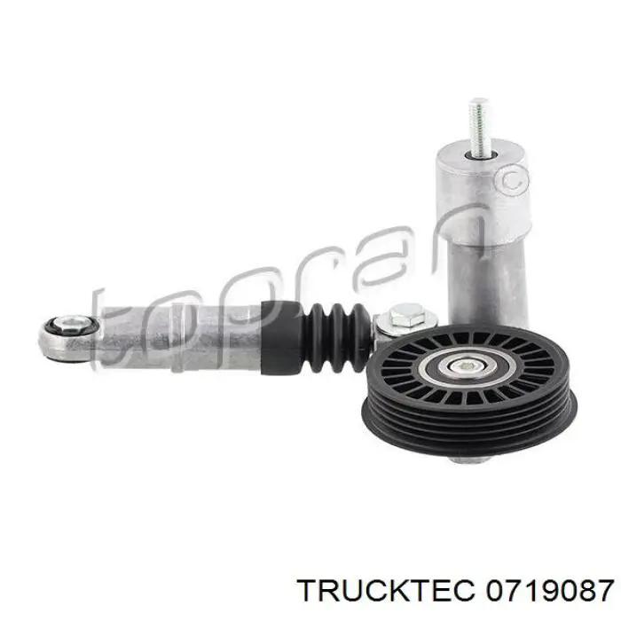 Роликовий модуль натяжителя ремня Trucktec 0719087 цена, от 45.65 USD