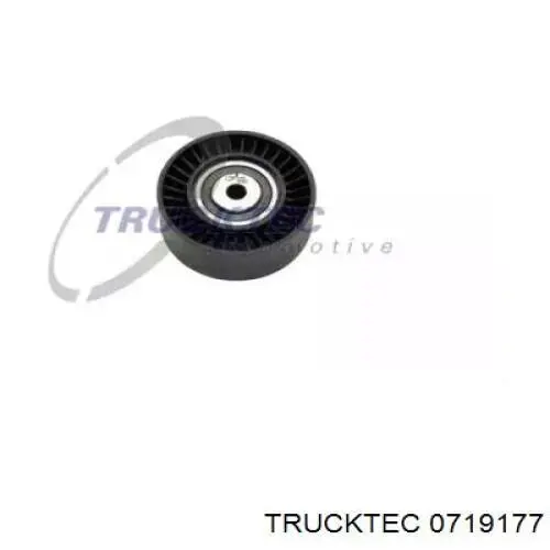 Паразитный ролик 0719177 Trucktec