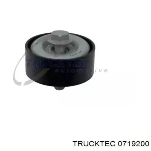 Паразитный ролик 0719200 Trucktec