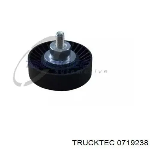 Паразитный ролик 0719238 Trucktec