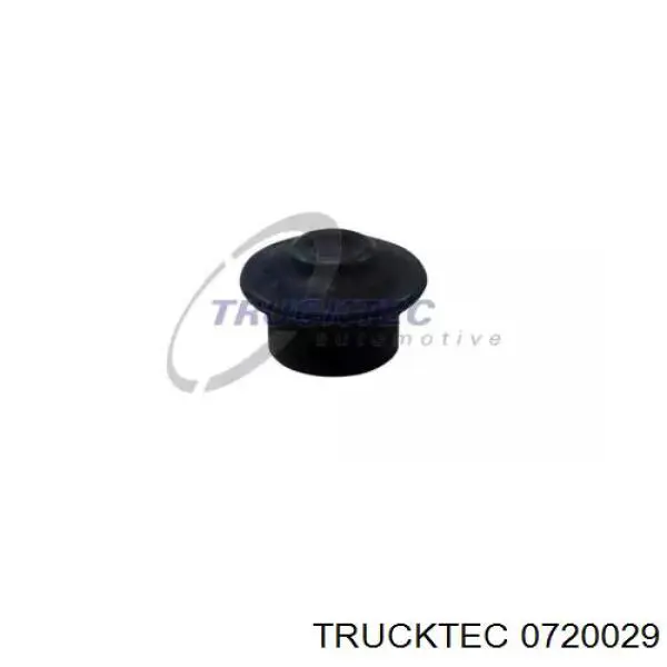 07.20.029 Trucktec подушка (опора двигателя передняя)