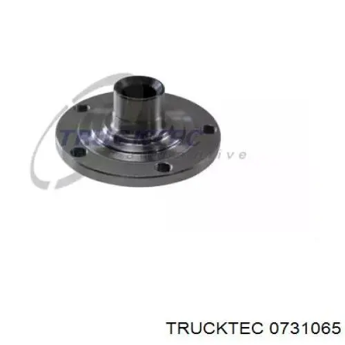 Ступица передняя 0731065 Trucktec