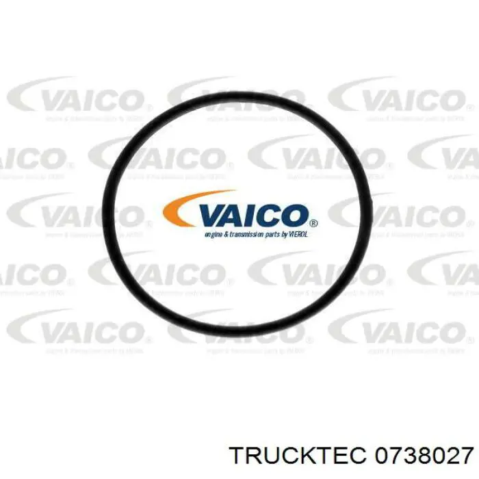 Топливный фильтр 0738027 Trucktec
