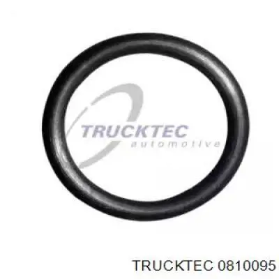 Прокладка (кольцо) шланга охлаждения турбины, обратки 0810095 Trucktec