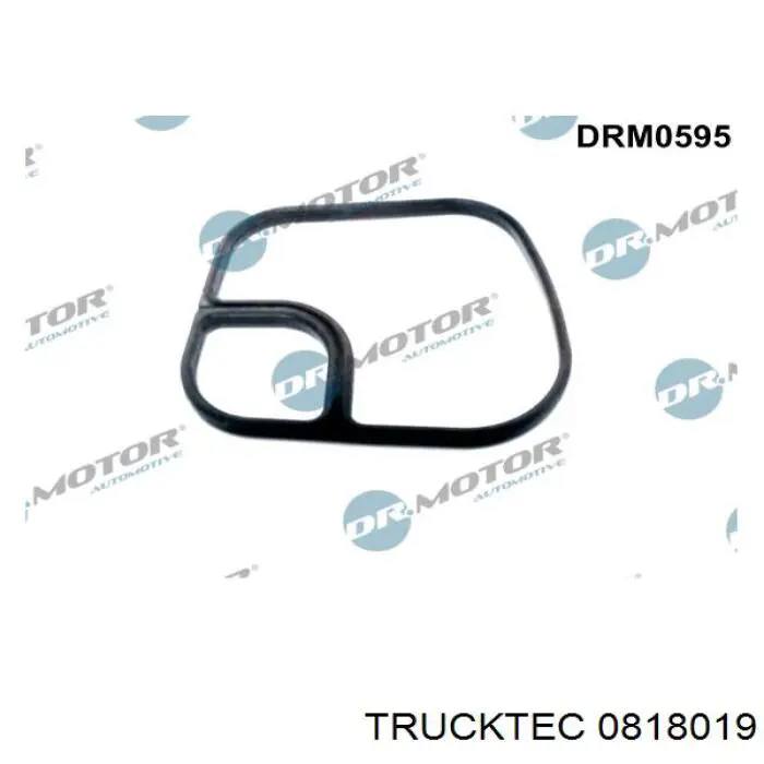 Купить 0818019 Trucktec Прокладка радиатора масляного