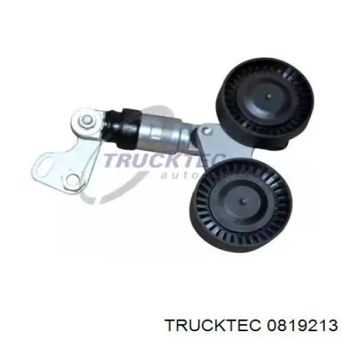 Натяжитель приводного ремня 0819213 Trucktec