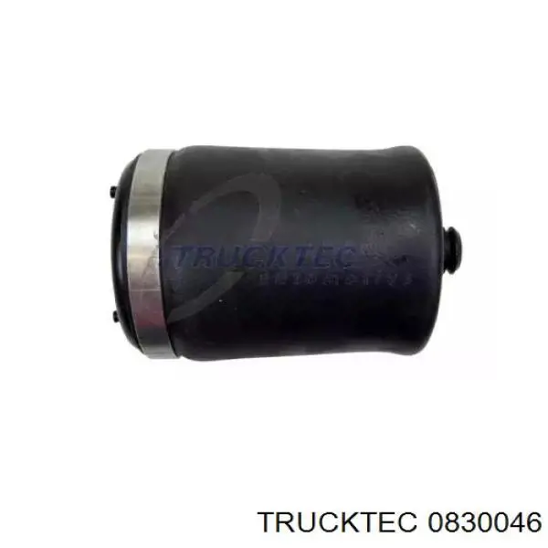 0830046 Trucktec coxim pneumático (suspensão de lâminas pneumática do eixo traseiro)