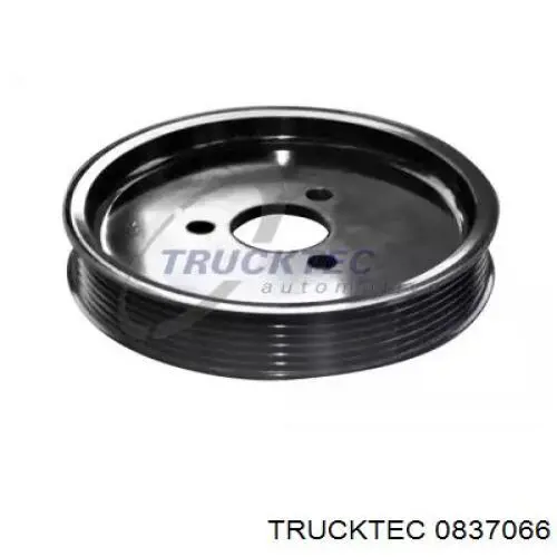 Шкив насоса ГУР 0837066 Trucktec