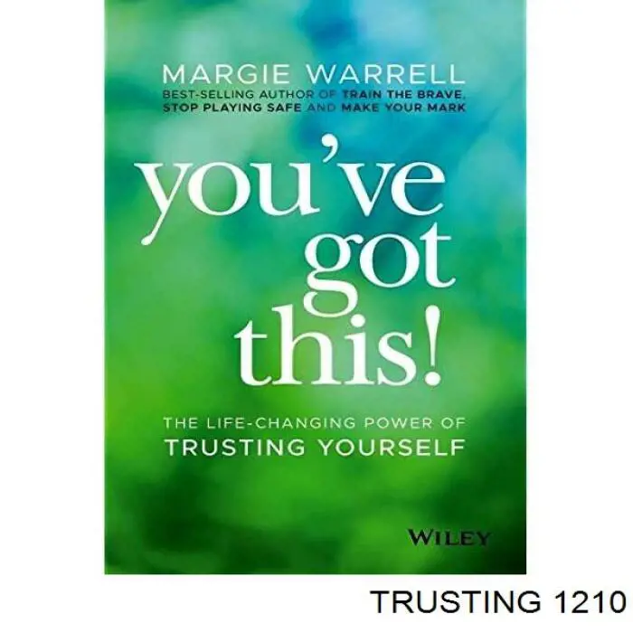 Compre 1210 Trusting Sapatas do freio dianteiras de disco