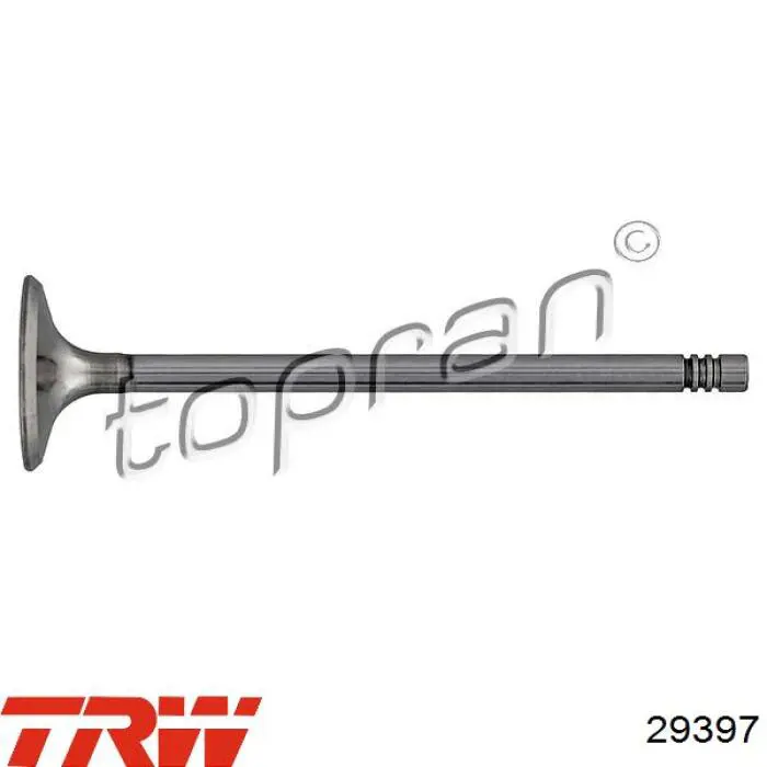 Впускной клапан INF200394 InA-For