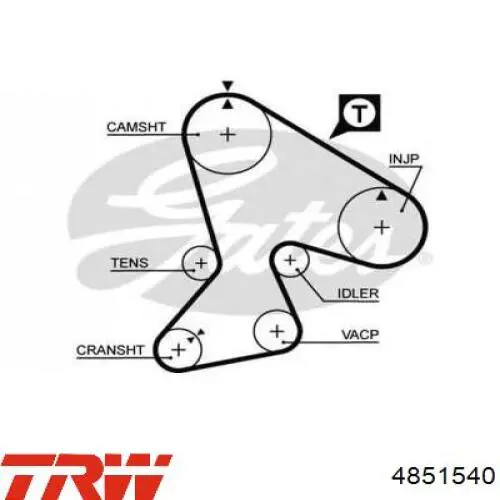Ремень ГРМ 4851540 TRW