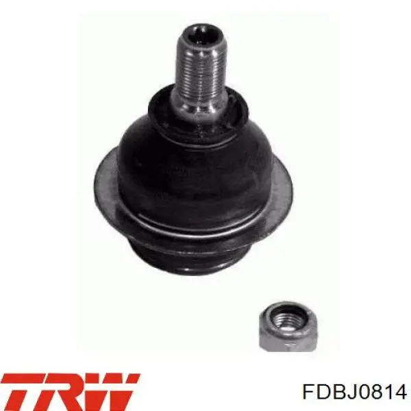 Нижняя шаровая опора TRW FDBJ0814