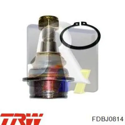 FDBJ0814 TRW Палец шаровой нижний