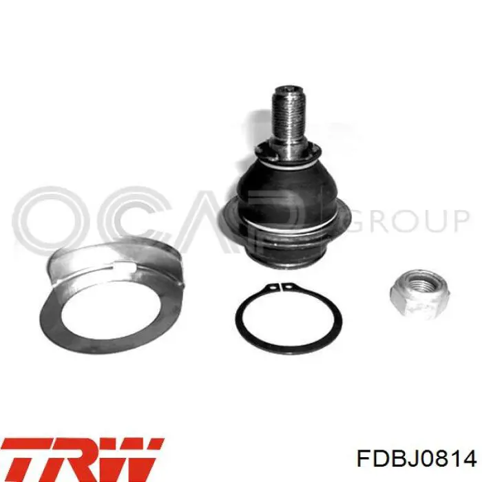 FDBJ0814 TRW Палец шаровой нижний