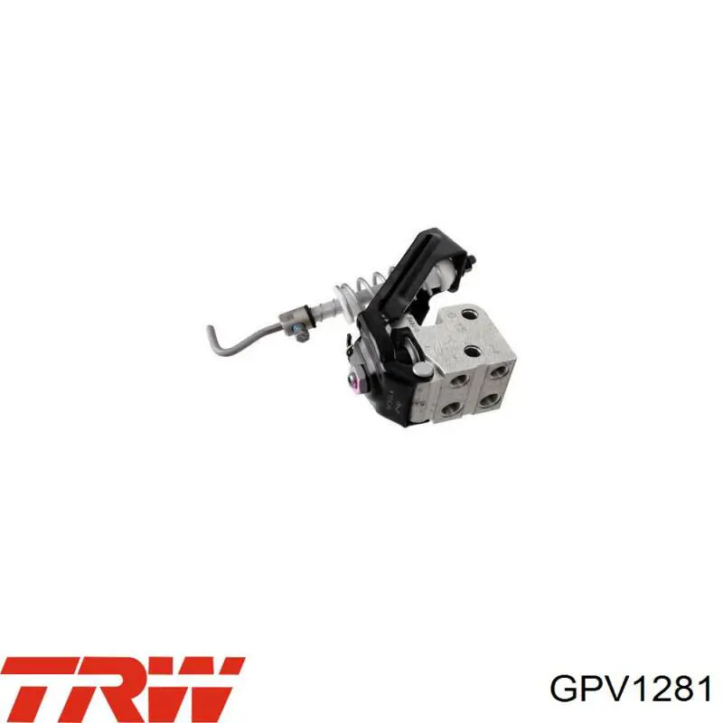  GPV1281 TRW