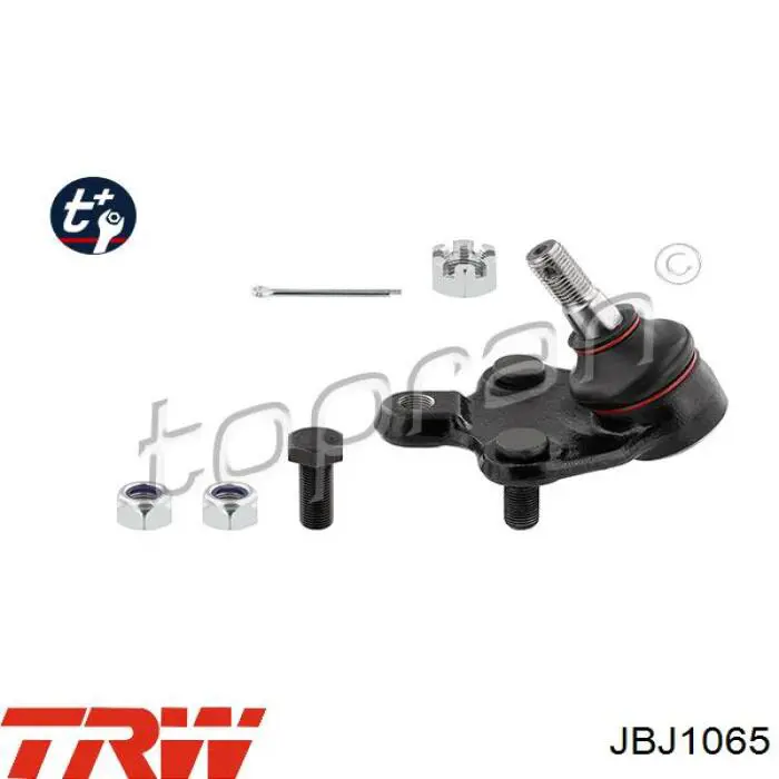 Нижняя шаровая опора TRW JBJ1065