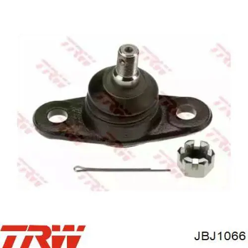 Нижняя шаровая опора JBJ1066 TRW