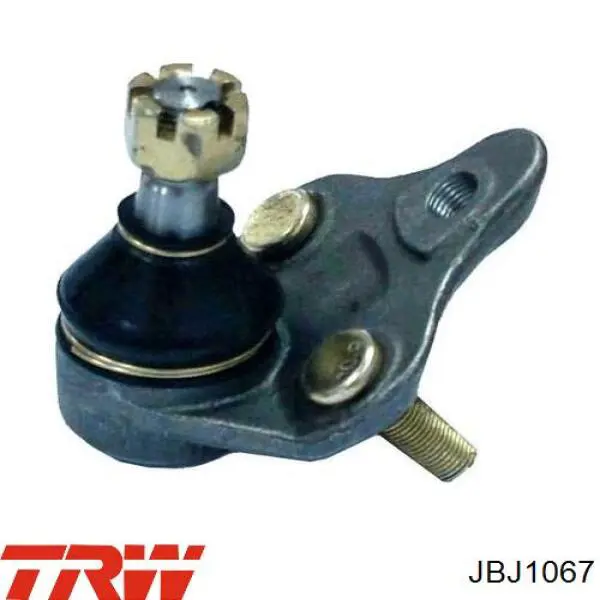 JBJ1067 TRW Палец шаровой нижний