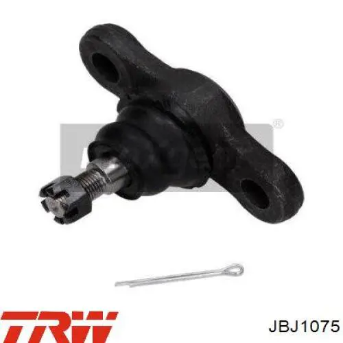 Купить JBJ1075 TRW Нижняя шаровая опора