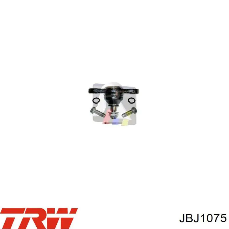 Нижняя шаровая опора JBJ1075 TRW