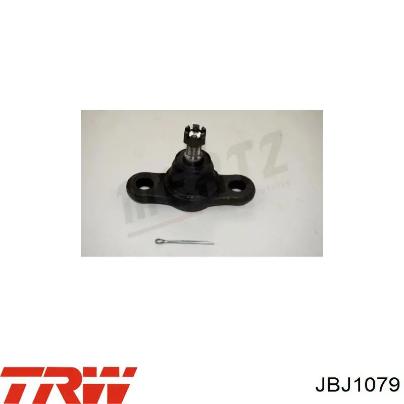 Шаровая опора, нижняя TRW JBJ1079 цена, от 27.72 USD