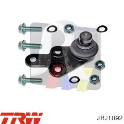 Купить JBJ1092 TRW Шаровая опора, нижняя, правая