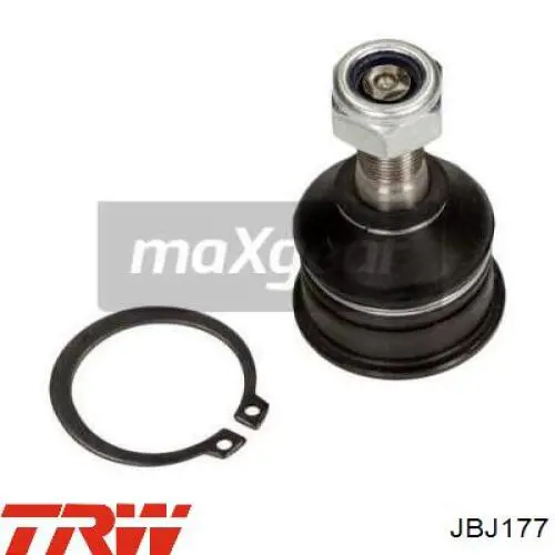Купить JBJ177 TRW Нижняя шаровая опора