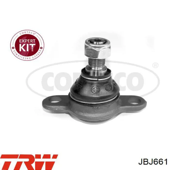 Нижняя шаровая опора TRW JBJ661