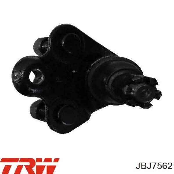 Купить JBJ7562 TRW Шаровая опора, нижняя, правая