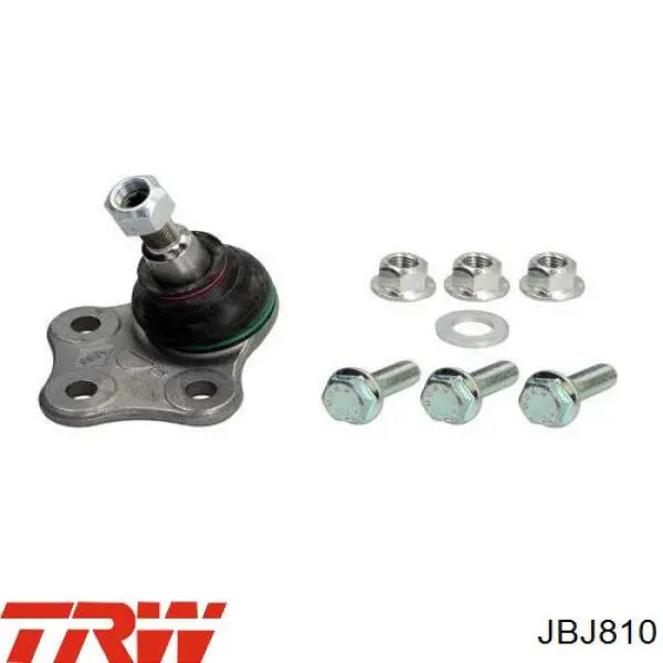 Нижняя шаровая опора JBJ810 TRW