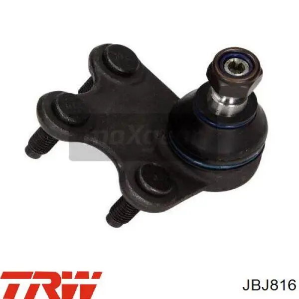 Купить JBJ816 TRW Шаровая опора, нижняя, левая