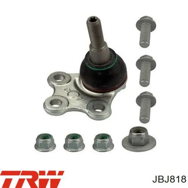 Шаровая TRW JBJ818