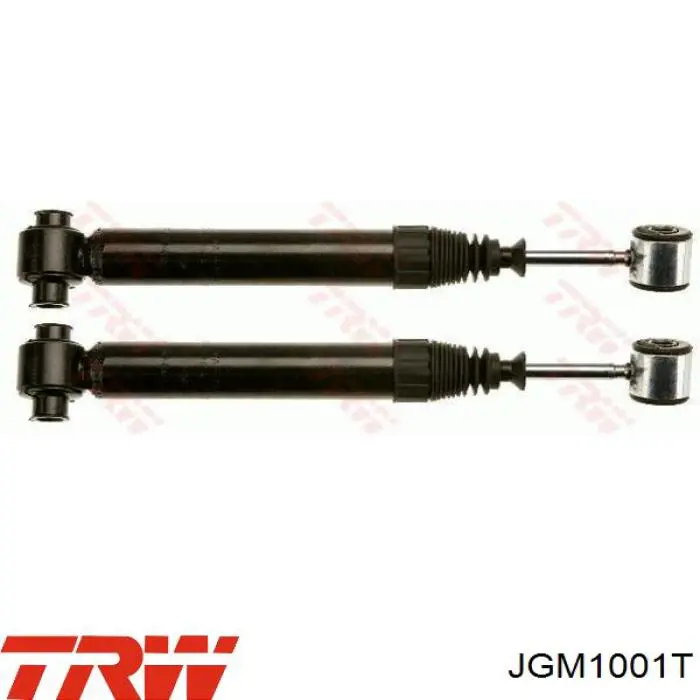 Амортизаторы передние TRW JGM1001T
