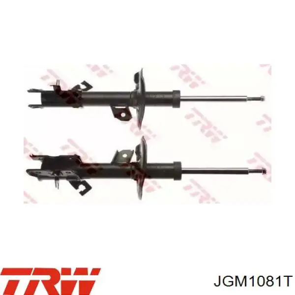 JGM1081T TRW