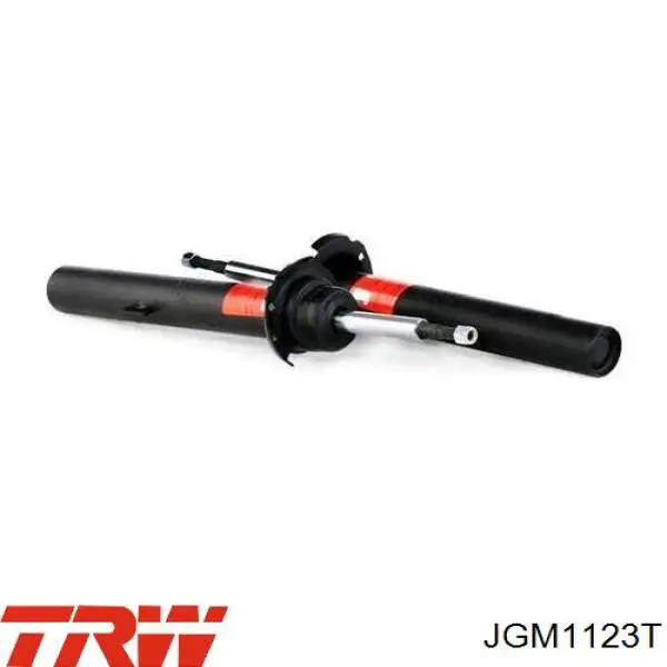 Compre JGM1123T TRW Amortecedor dianteiro