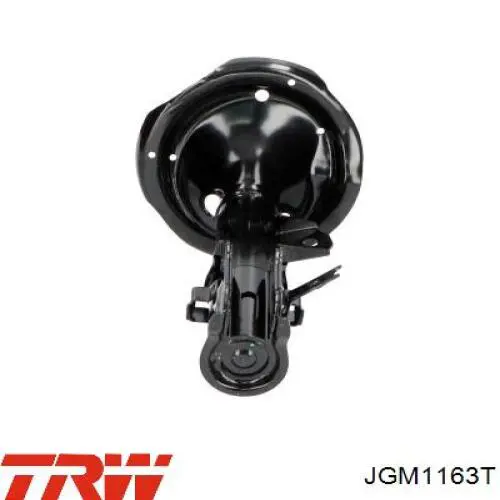 Купить JGM1163T TRW Амортизатор подвески передний правый
