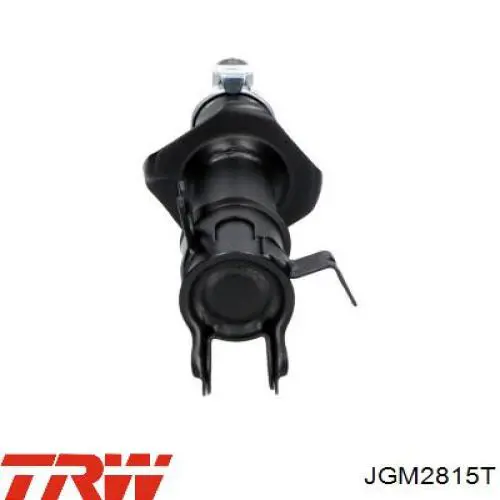 Амортизатор подвески передний левый ASM FR462201 цена, от 27.96 USD