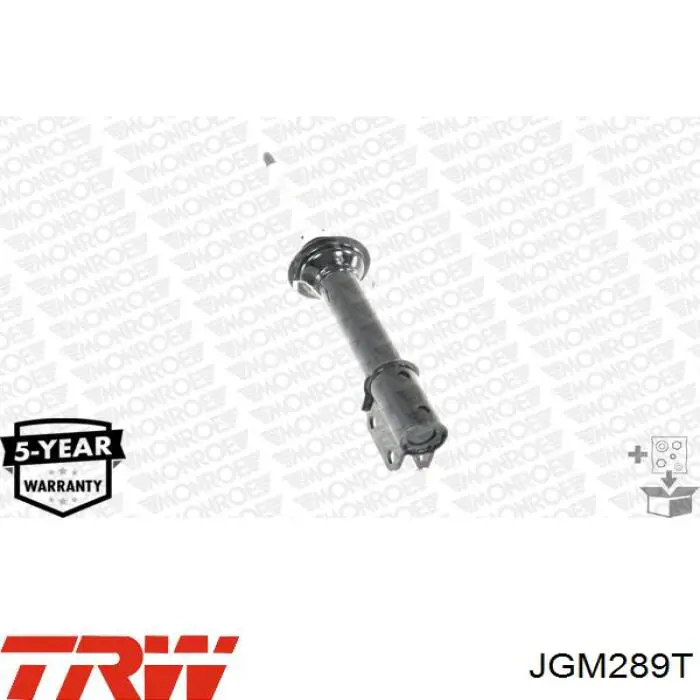 Compre JGM289T TRW Amortecedor dianteiro