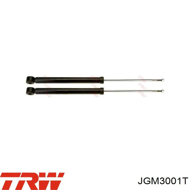 Купить JGM3001T TRW Амортизатор подвески передний правый