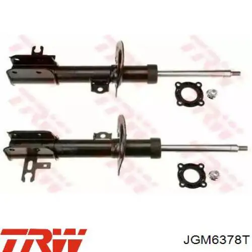 Амортизаторы передние TRW JGM6378T