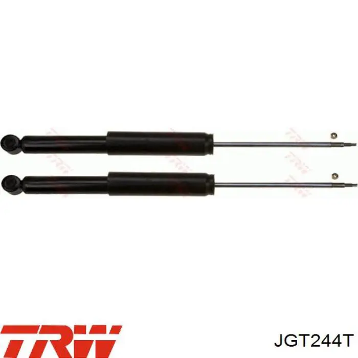 JGT244T TRW амортизатор задний