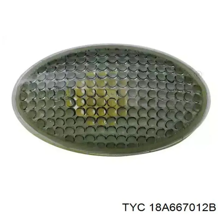 18A667012B TYC