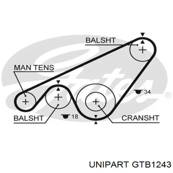 Ремень ГРМ GTB1243 Unipart