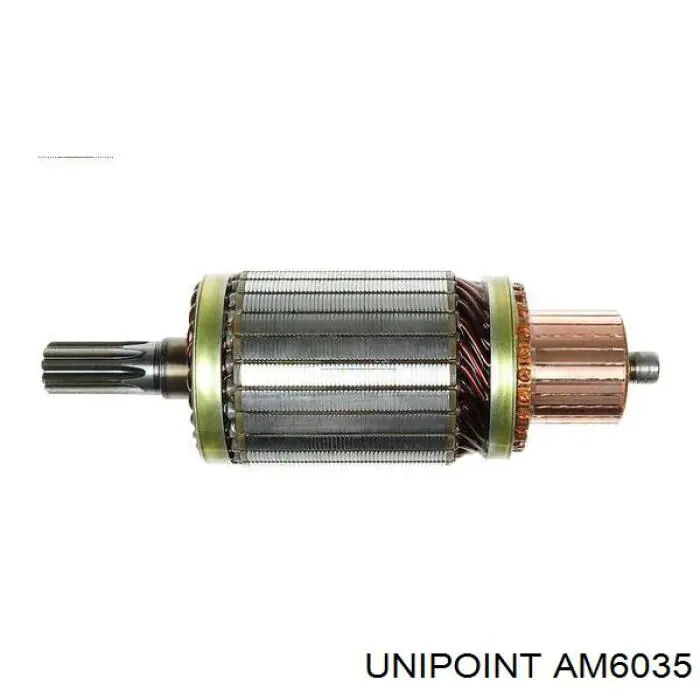 AM6035 Unipoint induzido (rotor do motor de arranco)