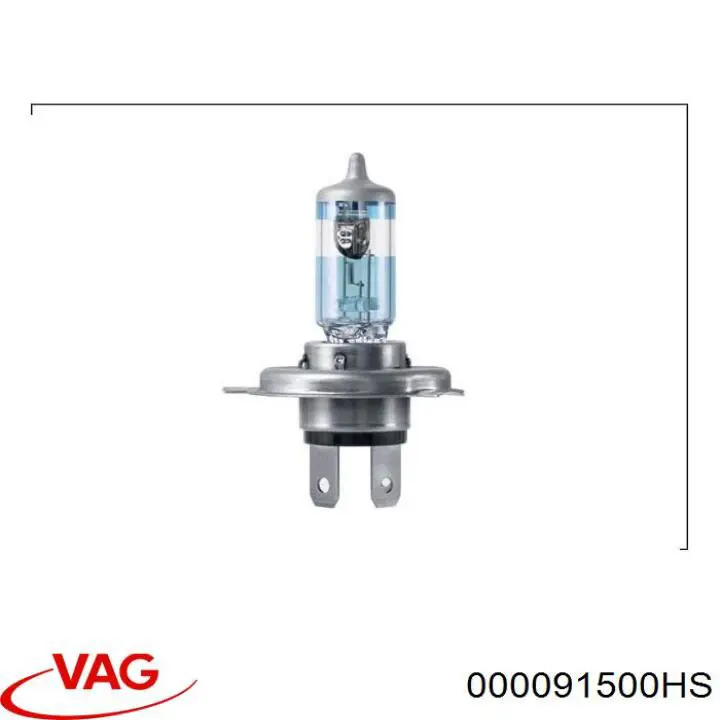 Купить 000091500HS VAG 