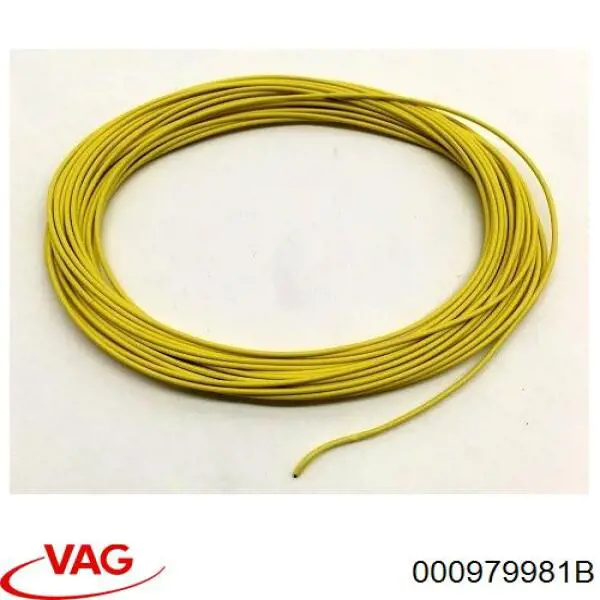 000979981B VAG 