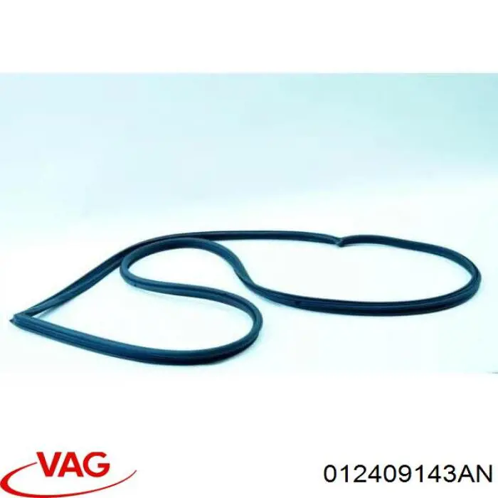  VAG 012409143AN