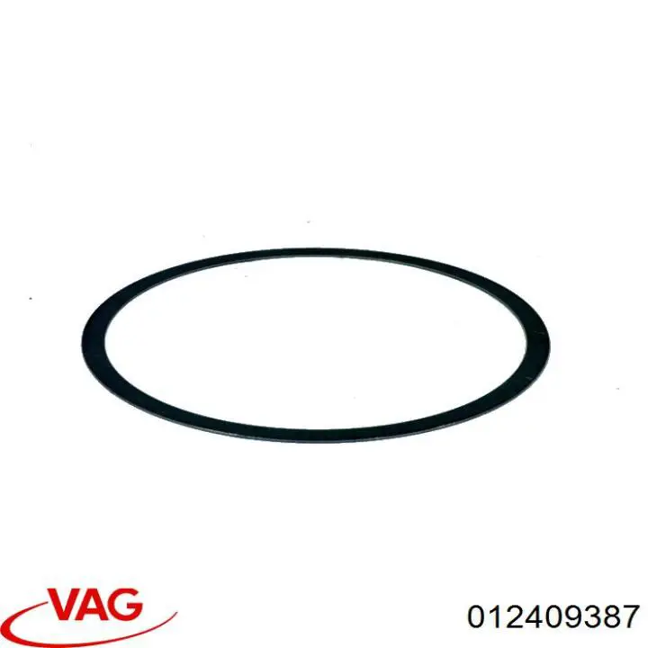  012409387 VAG