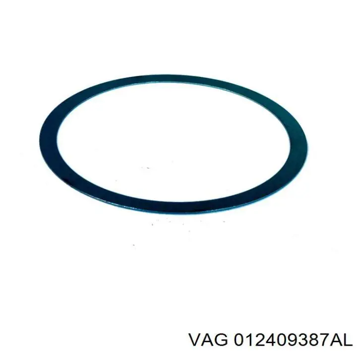  012409387AL VAG